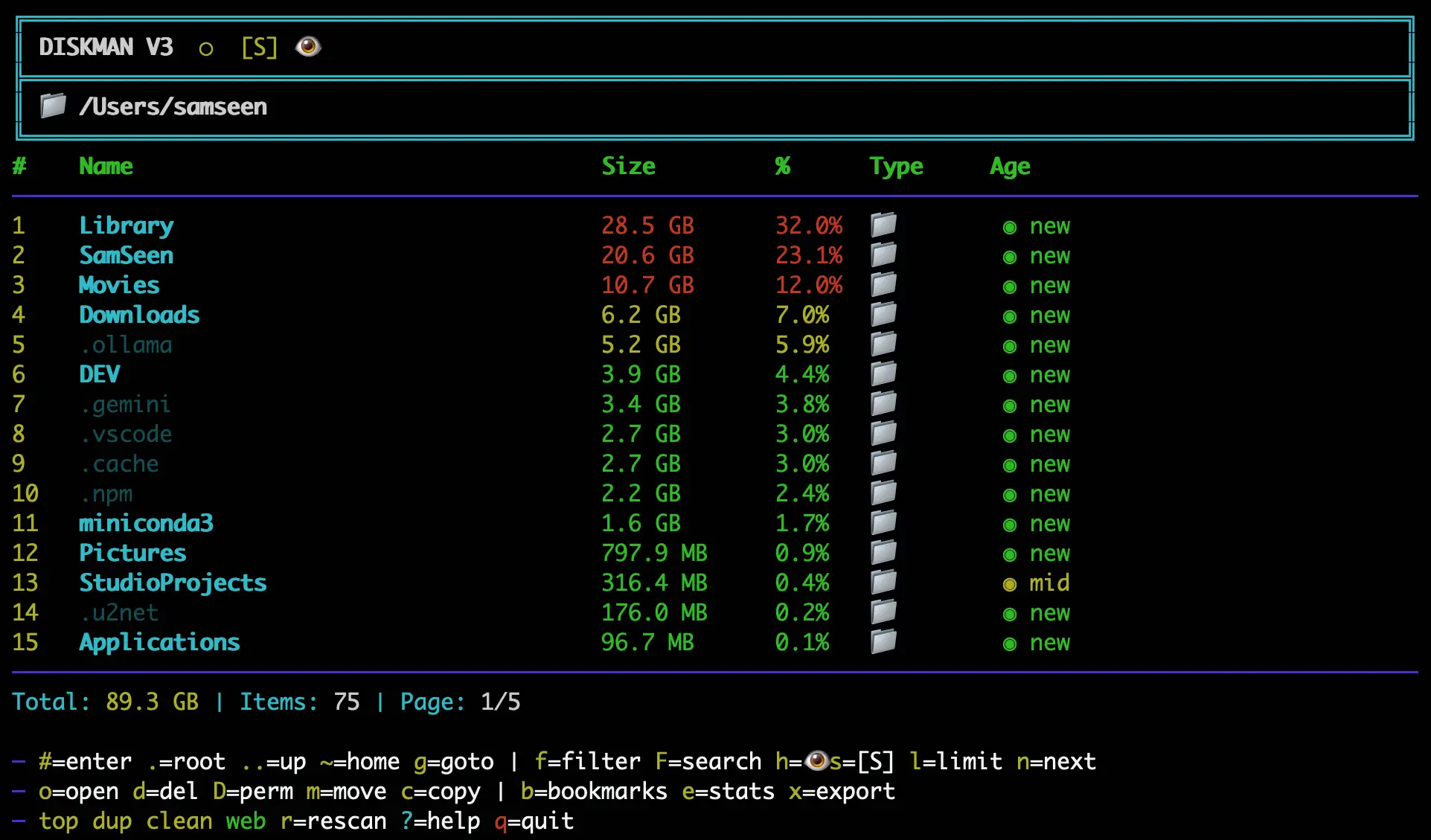 DiskManCLI Interface